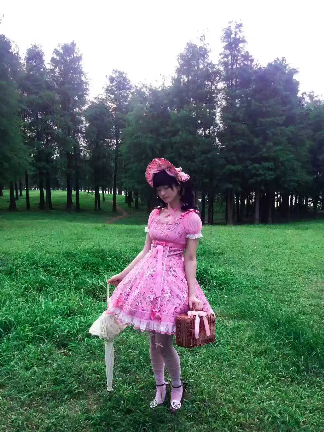 Crimson Poem - Old School Lolita Six-Panel Cut Floral Printed OP Dress - Image 11