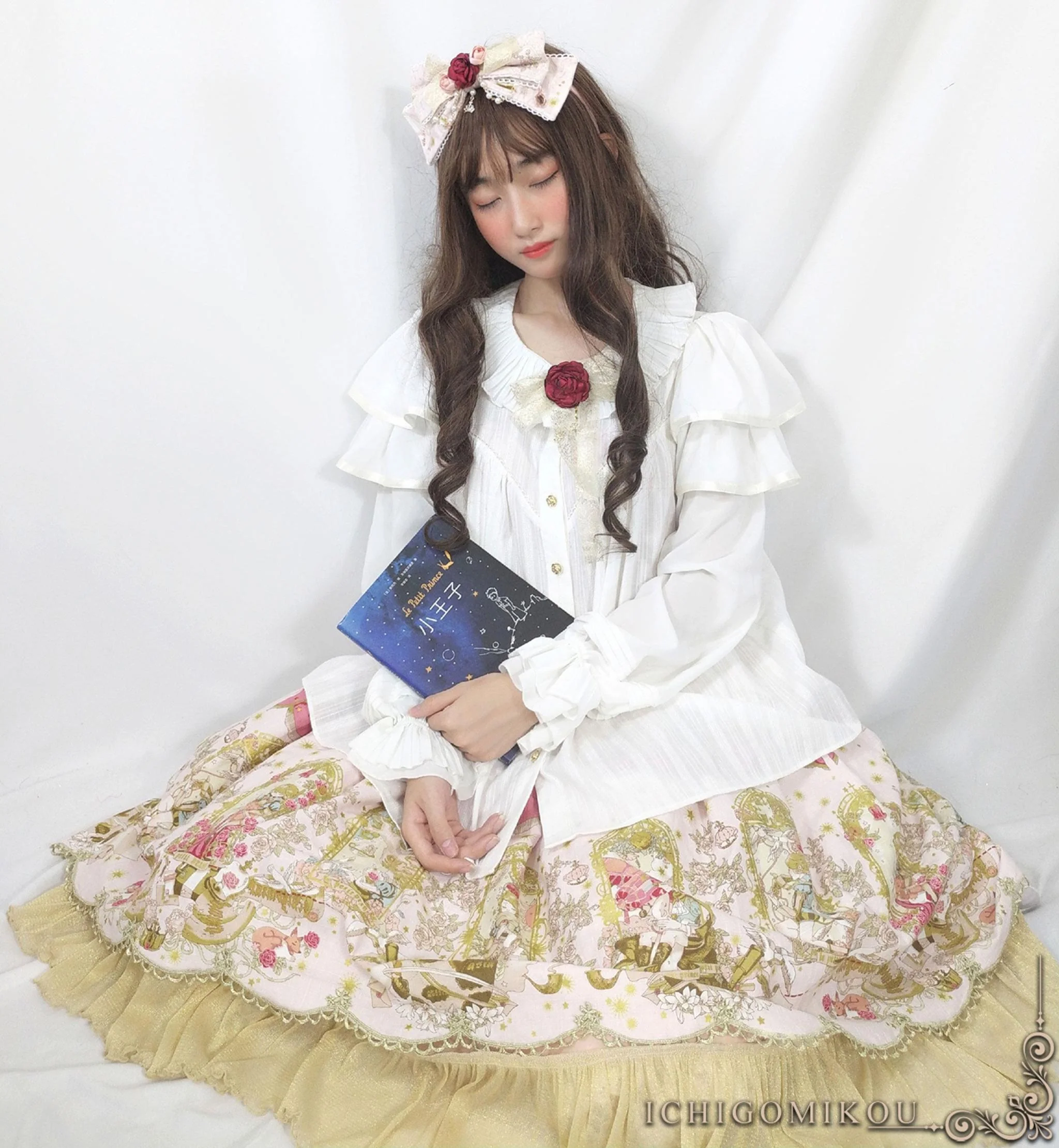 The Little Prince - Plus Size Lolita Dresses, Rose Prints & Bows - Image 17